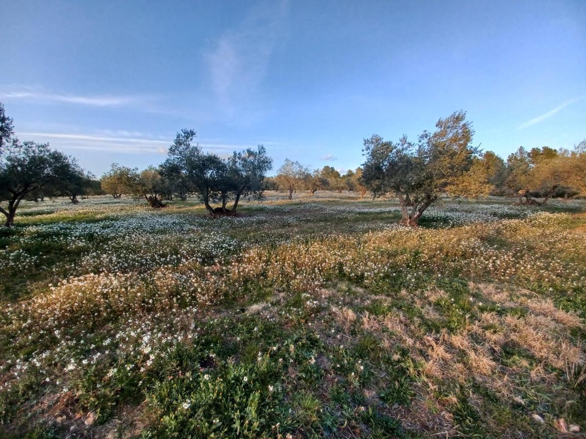 3Natura Avinyonet de Puigventós 외부 사진